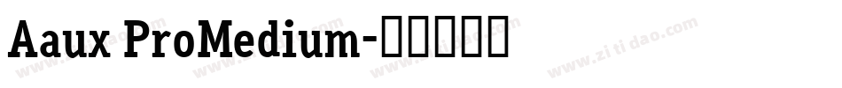 Aaux ProMedium字体转换